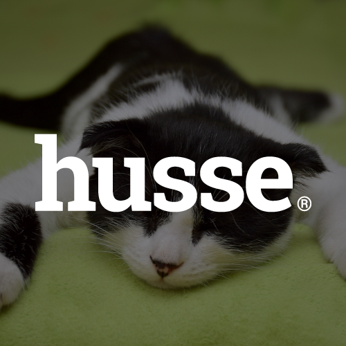 Logo Husse blanc