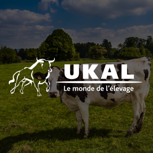 Logo Ukal blanc